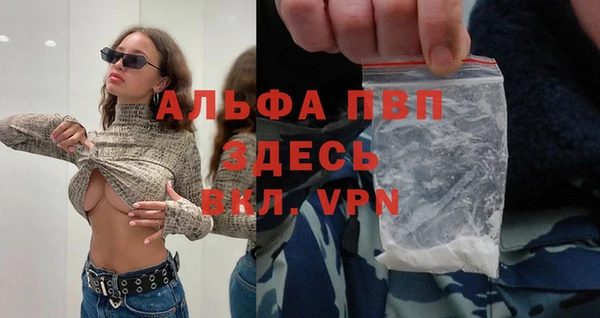 сатива Горнозаводск