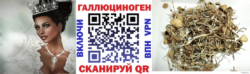 закладки  Жирновск  Галлюциногенные грибы прущие грибы 